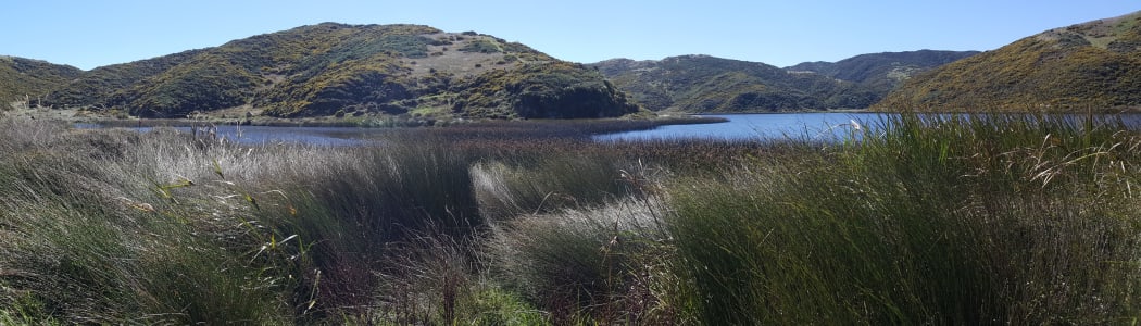 Lake Kohangapiripiri is near the coast on the eastern side of Wellington Harbour.