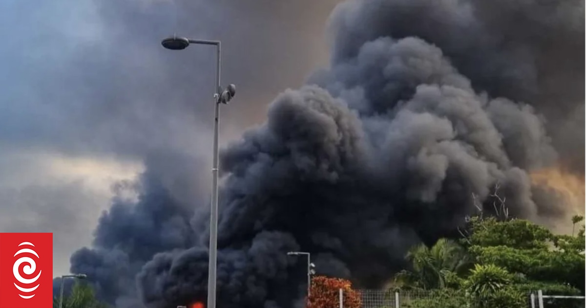 'It's a revolution here, using Tiktok' - Pro-independence activist on New Caledonia unrest - Vimarsana News