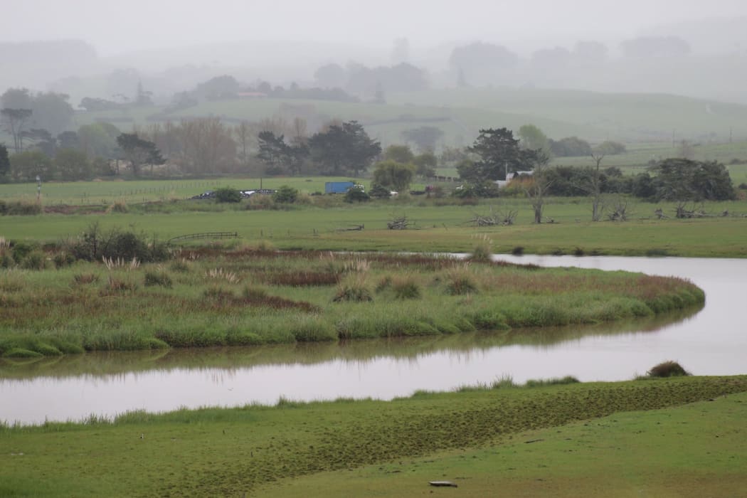 The view from Peter Smith-West's Helensville property, which he worries will be ruined if a planned solar farm plant goes up.