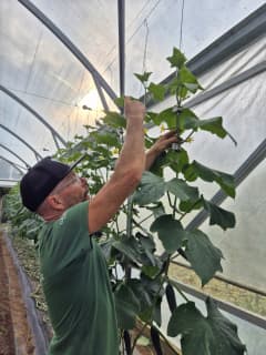 Jodi's spent the past three decades travelling the world learning from and teaching others.