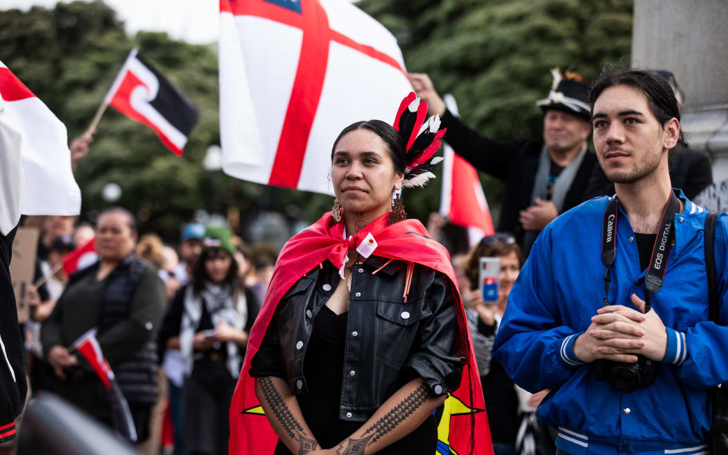 Protesters at Parliament