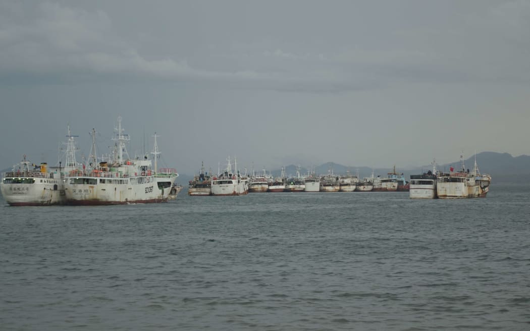 A collection of fishing boats in Suva Harbour, Fiji.