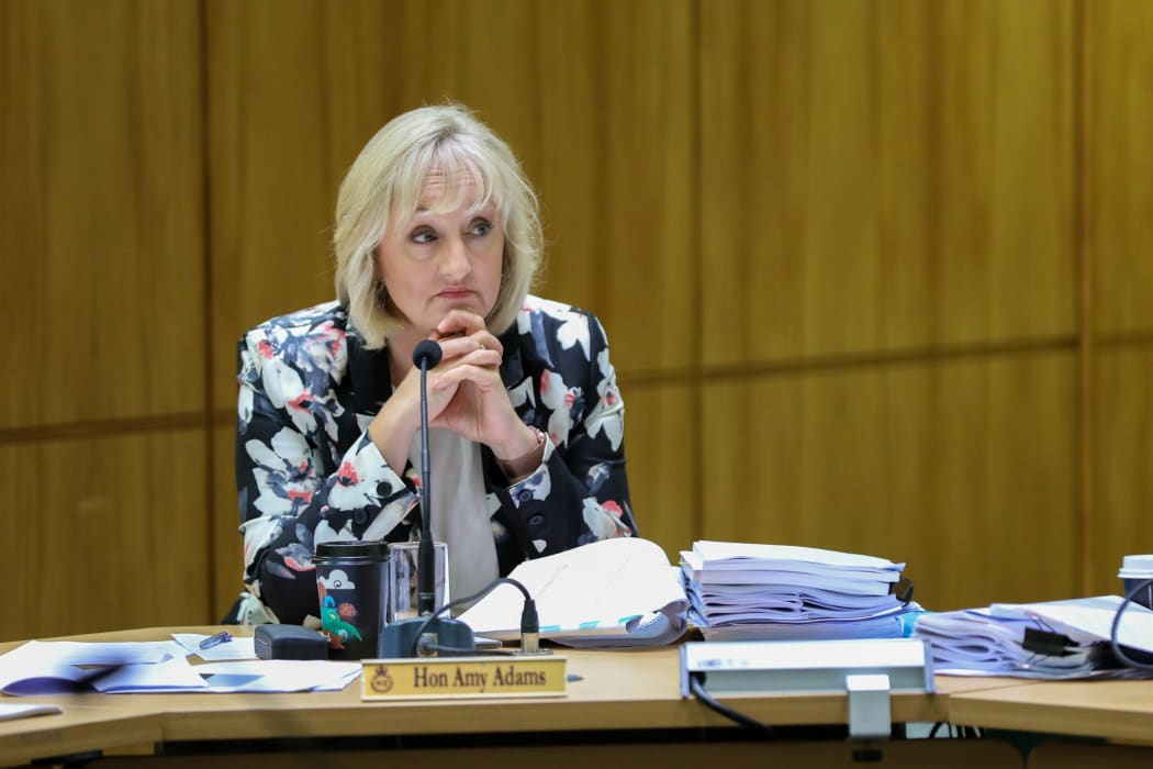 National Party MP Amy Adams in Select Committee