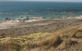 Beach north of Canterbury Gully.