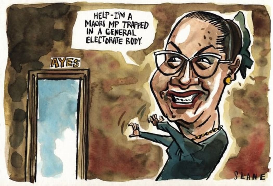 Cartoonist Christopher Slane's take on Georgina's issues with the 2004 Foreshore and Seabed Act.