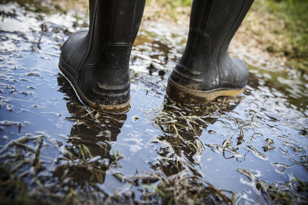 Farming and dairy jobs are being advertised below the minimum wage on the website.