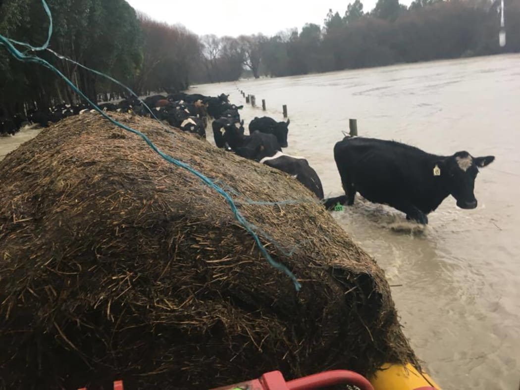 Flooding on James Bruce's farm,  Martinborough, July 2017.