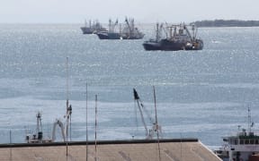 Fishing vessels anchored in Point Cruz Harbour a major transshipment hub for the Pacific Tuna Fishery. Honiara, Solomon Islands, 3 April 2012