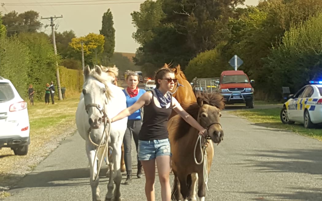 People leading horses out past cordon near Early Valley Road