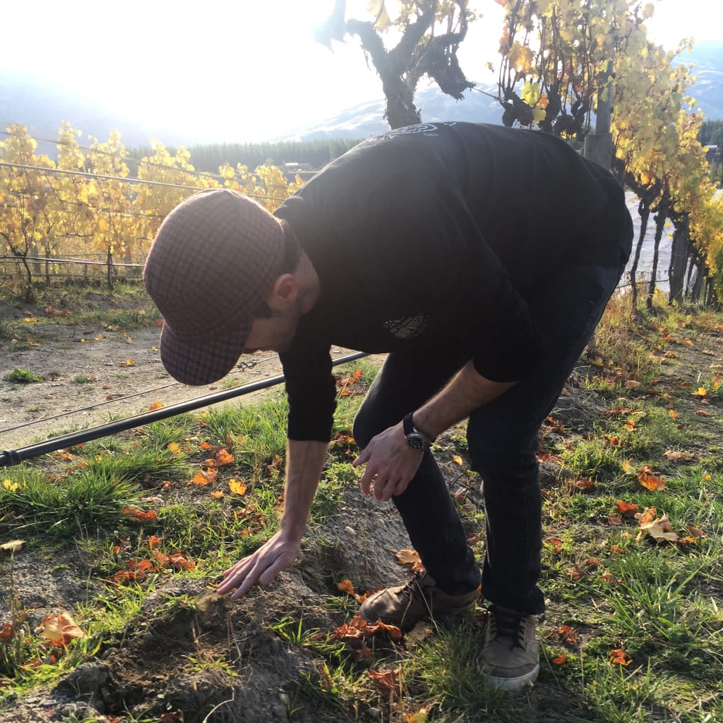 Natural winegrower Francis Hutt in his vineyard