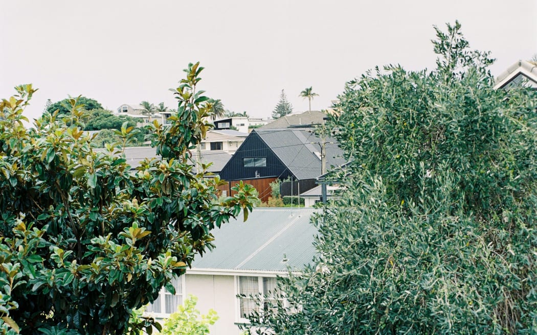 Houses in Tauranga, Bay of Plenty.