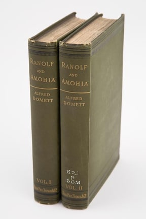 Alfred Domett's 1872 Māoriland poem, Ranolf and Amohia is more than 100,000 words long.