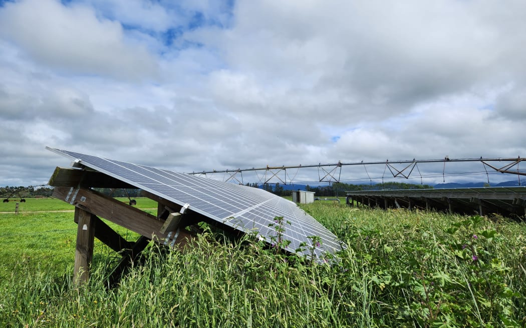 Solar panels have been installed at Kaiwaiwai Dairies to help power the farm