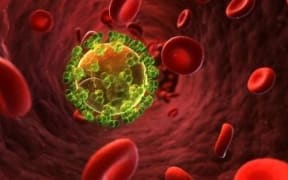 A 3d rendered illustration of HIV.