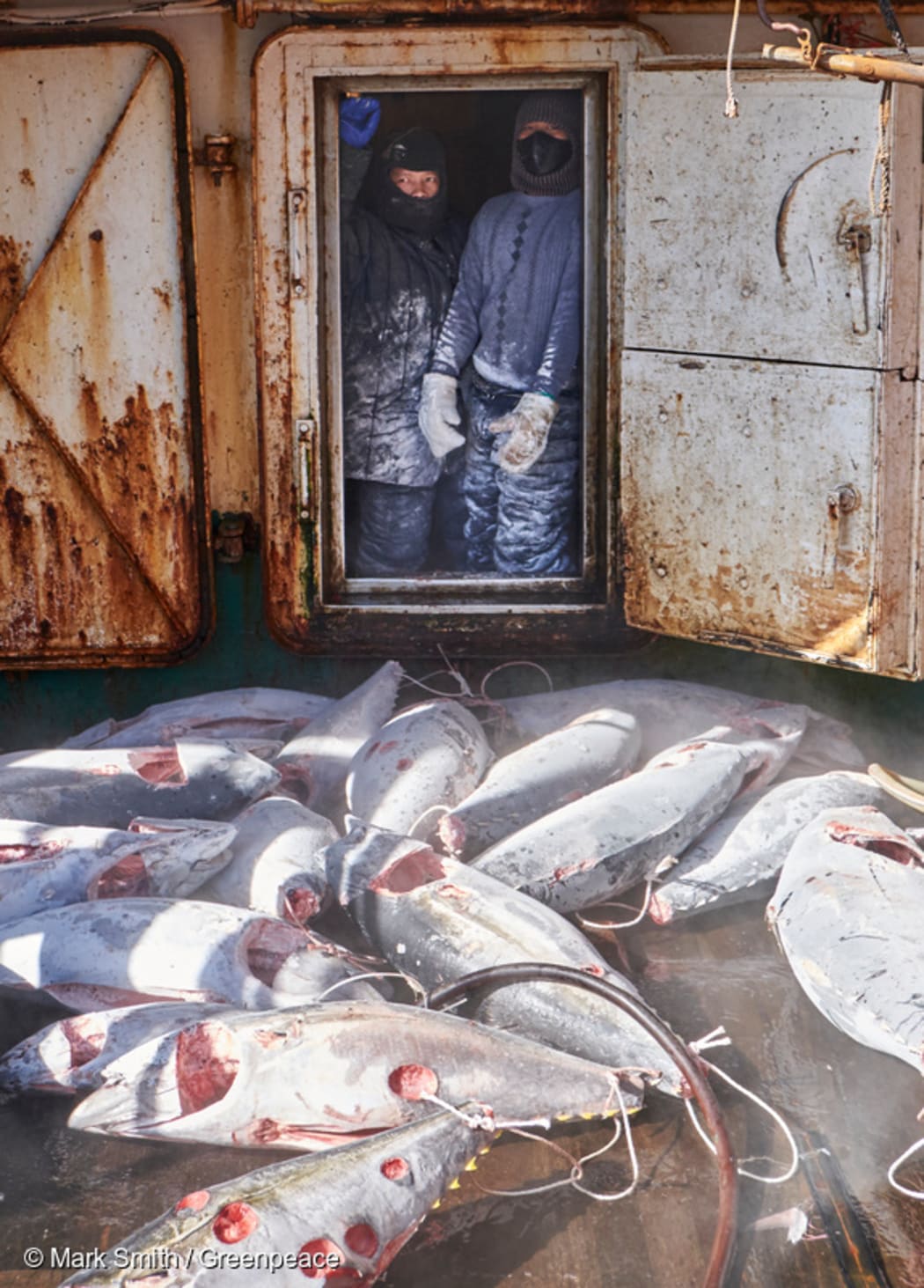Tuna