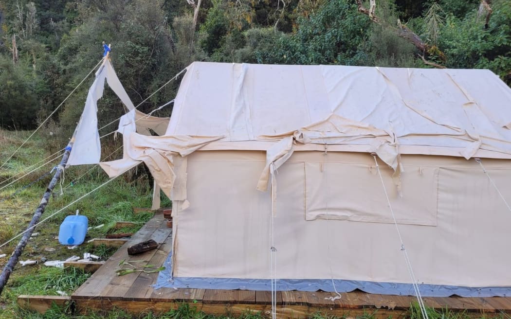 Tent wrecked by kea at Mt Adams on West Coast