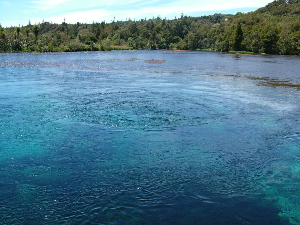 Pupu springs