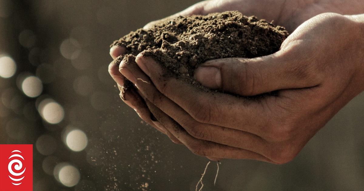 The complexities of soil | RNZ
