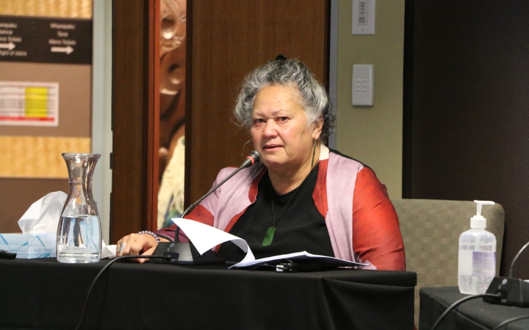 Katie Murray told the Waitangi Tribunal that she's hopeful more partnerships with hapū, iwi and Māori organisations will make a difference to the disparity in tamariki Māori going into care.