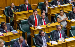 The newly elected Labour MP for Mt Roskill Michael Wood gives his maiden speech to Parliament on Wednesday 8 February 2017.