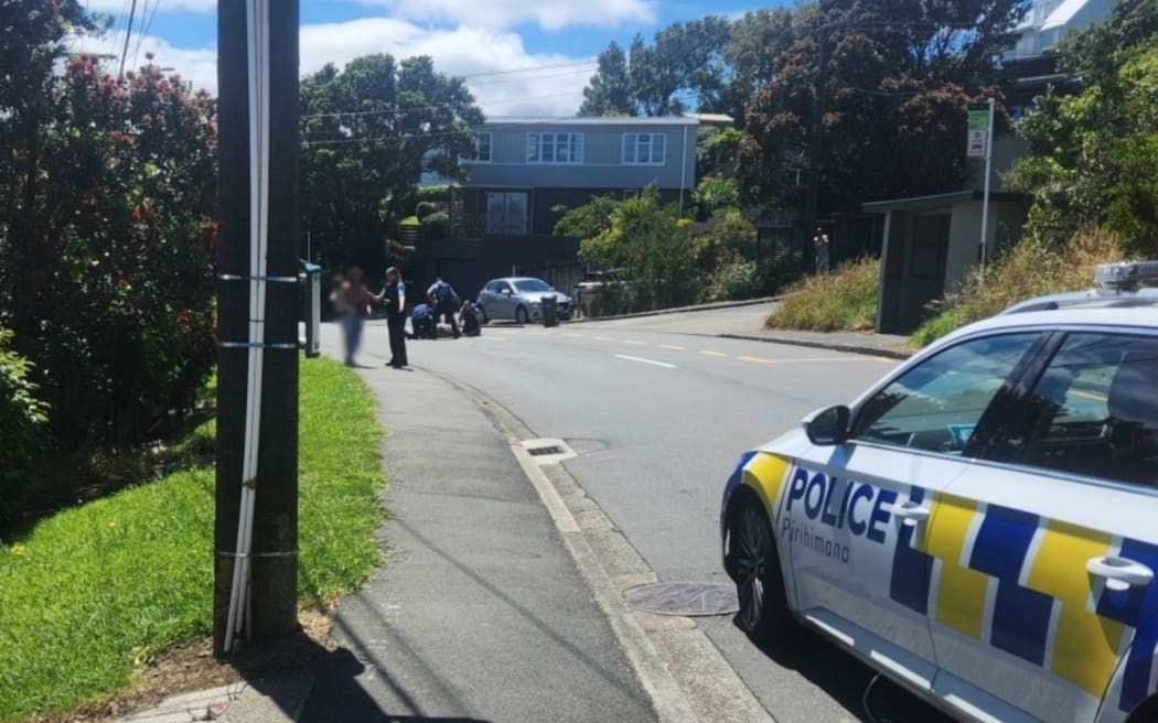 Police were called to reports of a man armed with a blade from a pair of hedge trimmers, who had trapped a woman and her baby in a Wellington bus-stop in January.