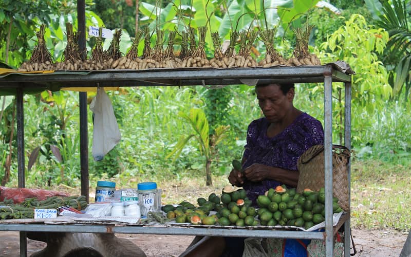 betel nut vs tobacco Taiwan's battle with addiction Frontiers | The association between