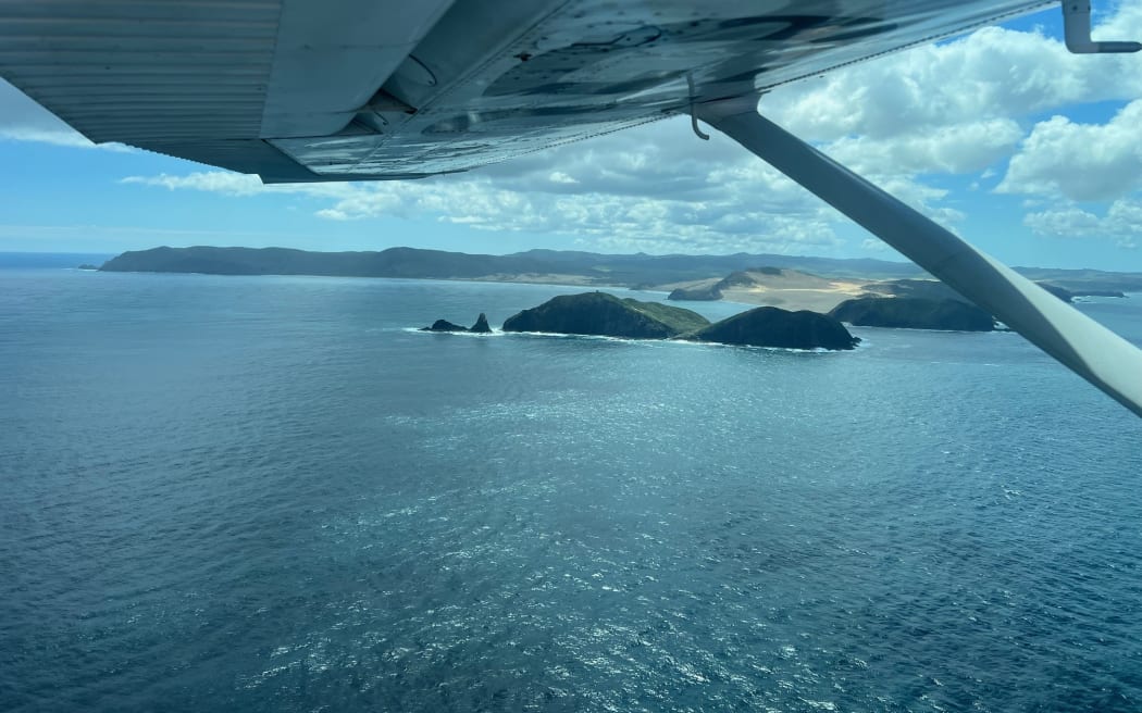 Northland Coastguard Air Patrol conducting the aerial search.