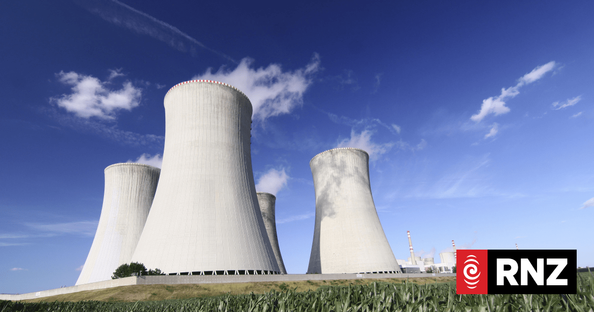 'Couple of small modular reactors': A new pitch for nuclear power in New Zealand