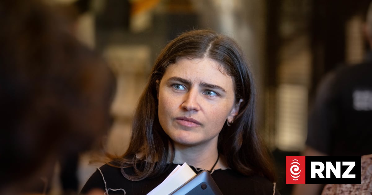 'AI slop' - Greens criticise National attack ad