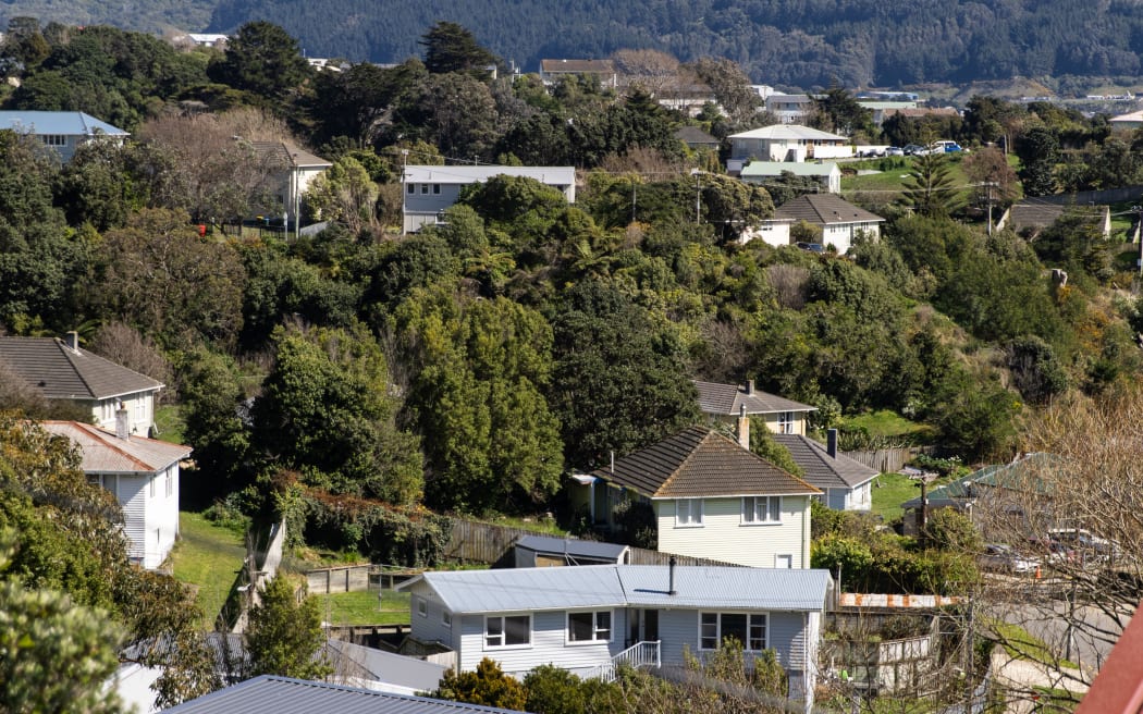 Cannons Creek houses