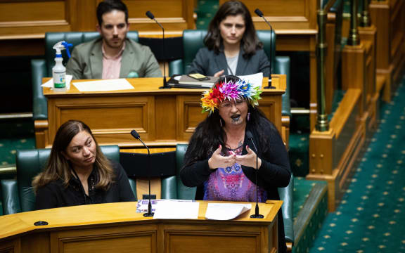 Green MP Elizabeth Kerekere speaks in the debate on Conversion Practices