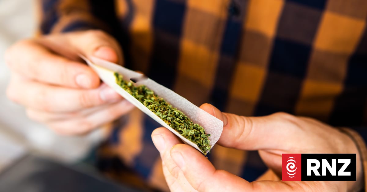 Christchurch man arrested after alleged breach of medicinal cannabis licence