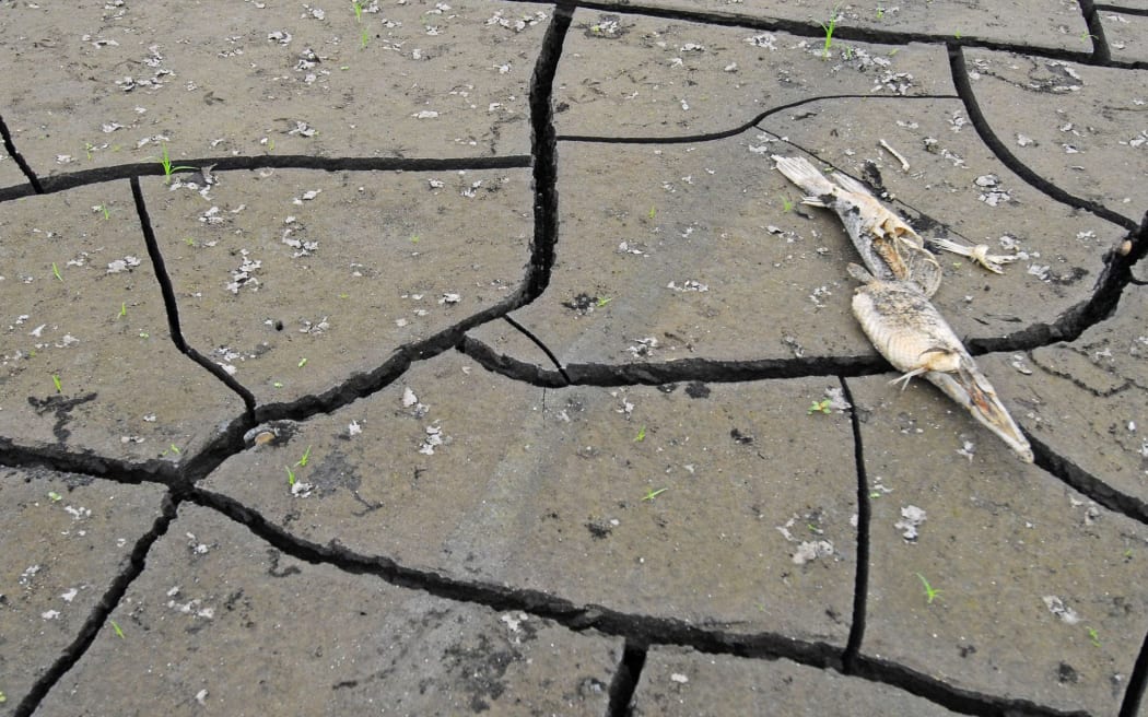 Farmers who use Lake Opuha in South Canterbury for irrigation are worried it may dry up by the end of next month.