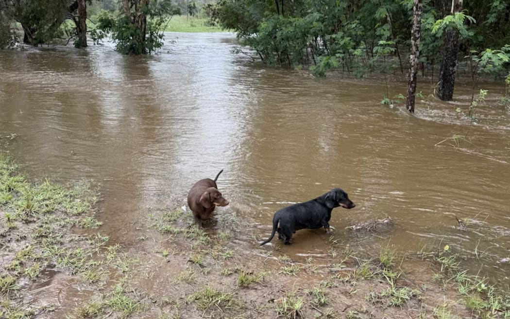 Bouldercombe, in the Rockhamption region, also received heavy rains. (Supplied: Lauren Clein)