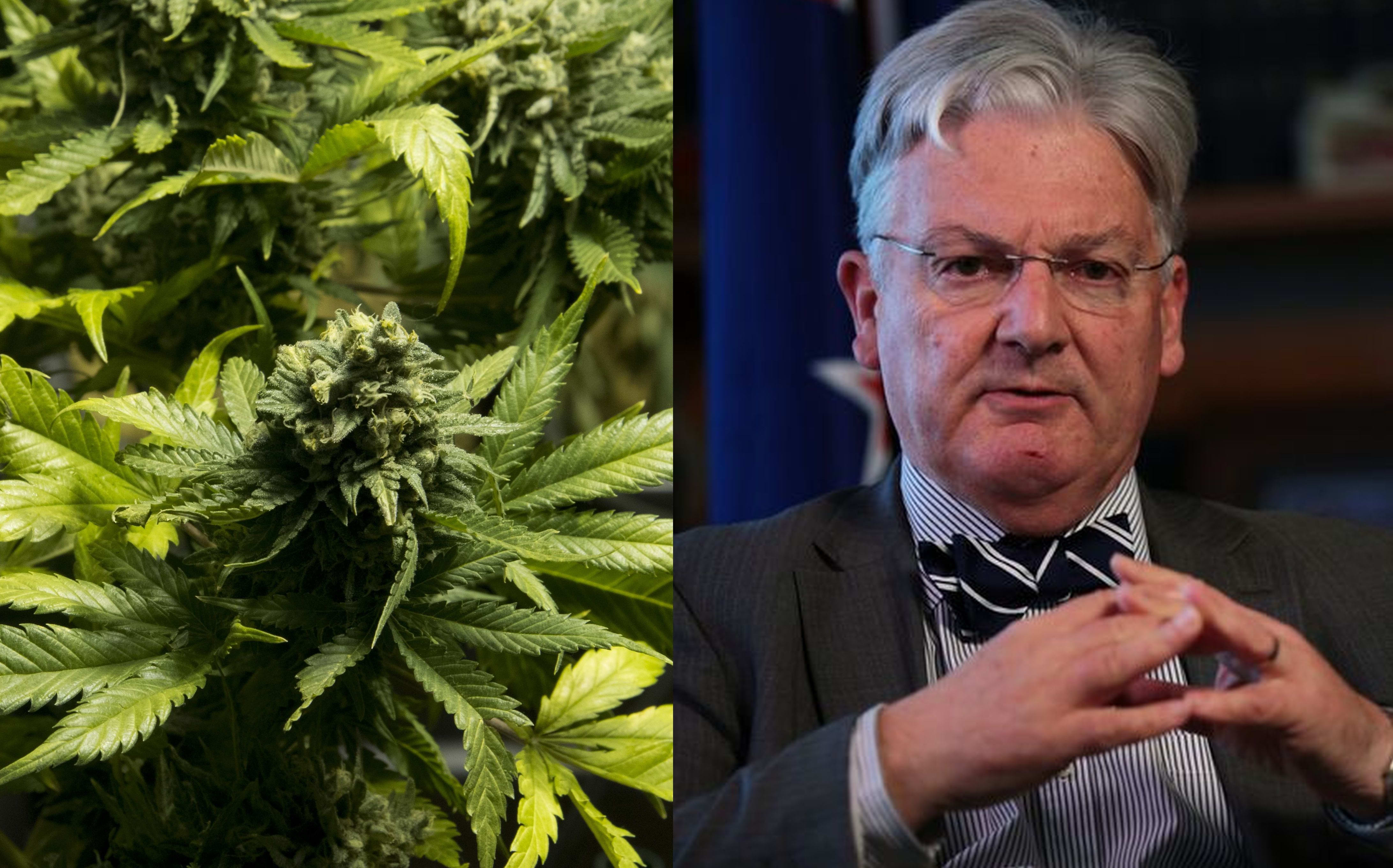 Peter Dunne says raw cannabis is not on the agenda for the current government.