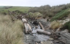 The site where the waka was found.
