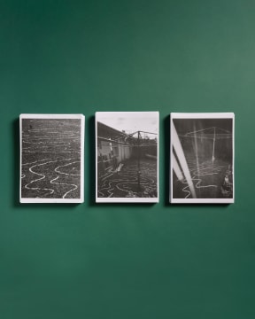 Premier Award Winner Wendelien Bakker's Sea of Grass