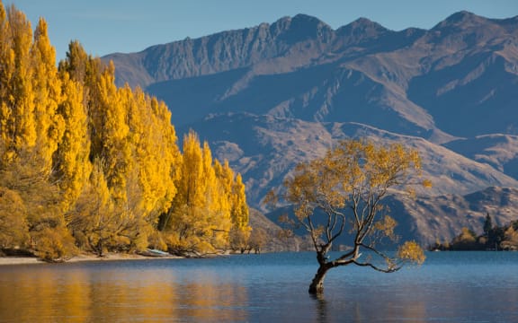 Lake Wanaka