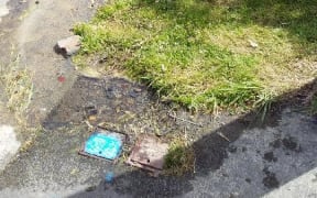 A water leak in Karori.