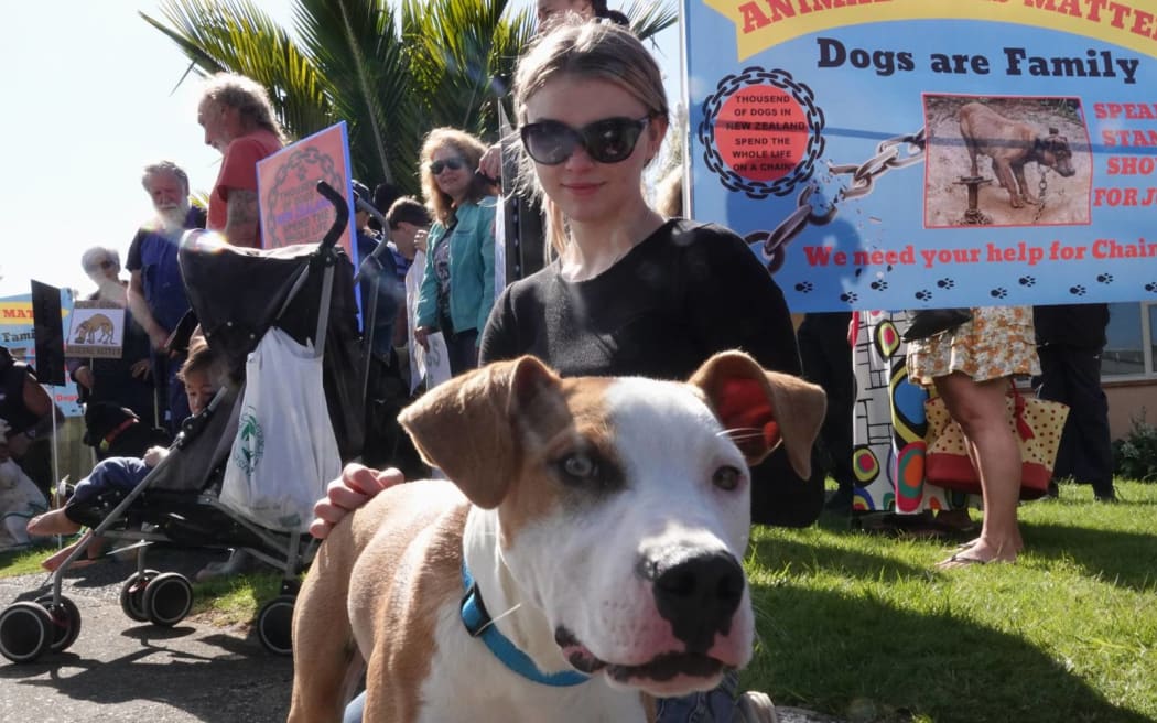 Rescue dogs of every size and breed took part in the protest.