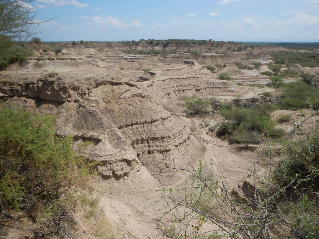 A general view of 'The Omo-Kibish formation' in The Omo National Park, south-western Ethiopia on 14 November, 2018.