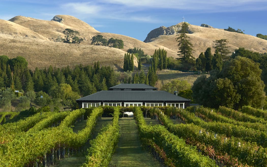 Cyclone Gabrielle Black Barn vineyards' Kim Thorp RNZ