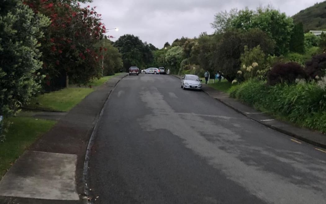 Possible homicide in Kakariki Grove in Waikanae