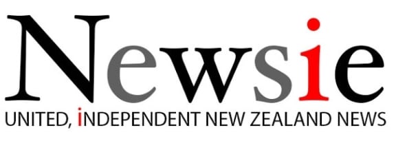 Newsie logo