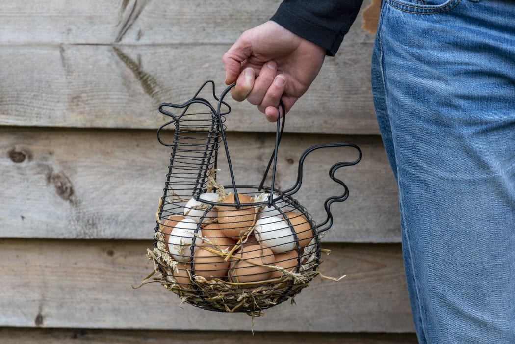 Woman carrying a basket filled with chicken eggs in a garden. 
 
Biosphoto / Yann Avril (Photo by Yann Avril / Biosgarden / Biosphoto via AFP)
