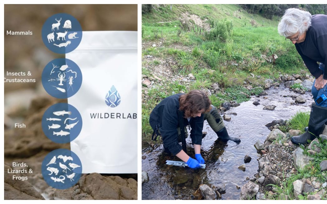 Wilderlab