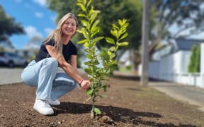 Alana Brough was has been battling council over a giant pohutukawa now faces a $1000 fine for planting fruit trees in the berm outside her home.