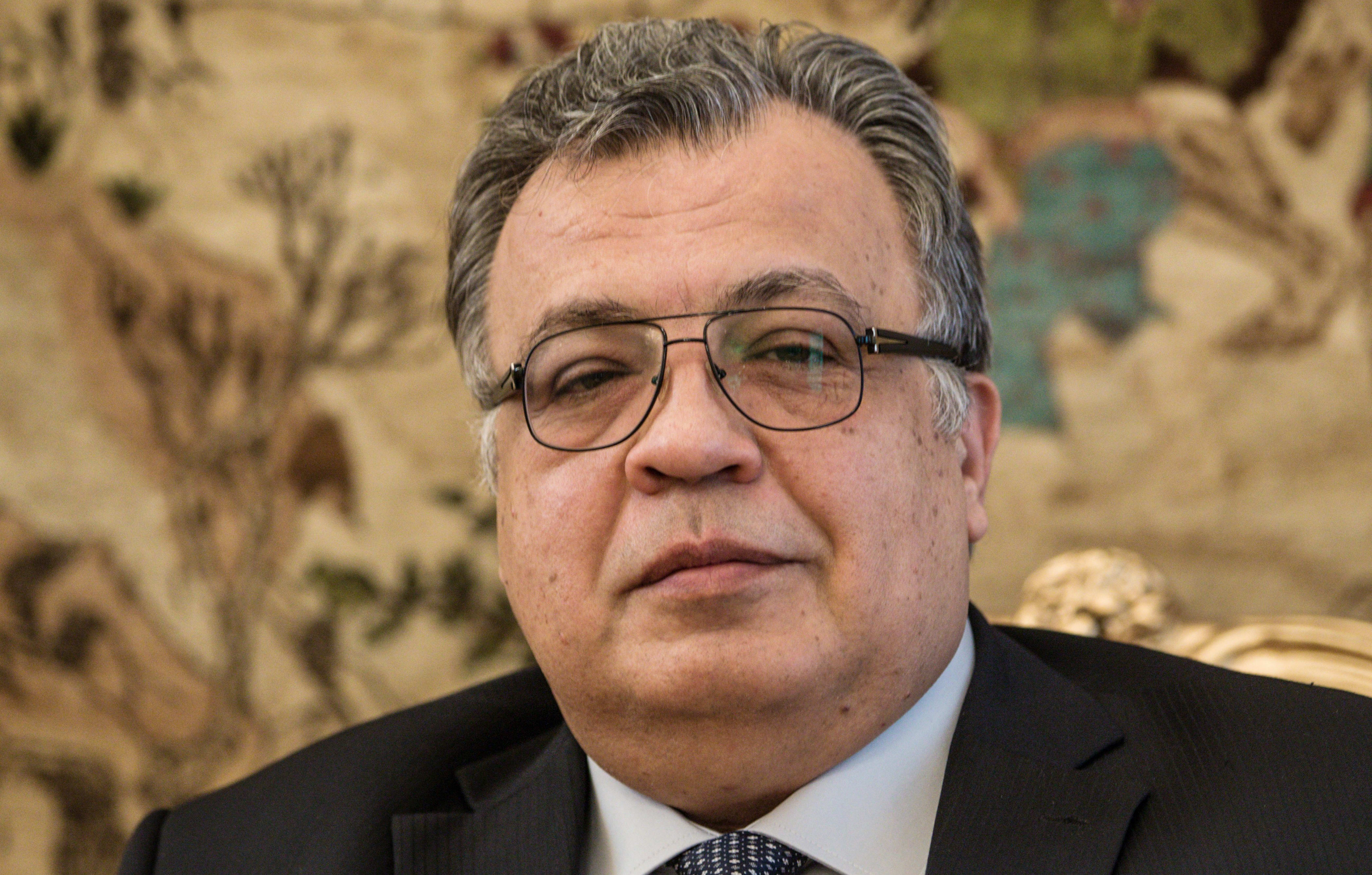 Andrei Karlov, pictured in November.