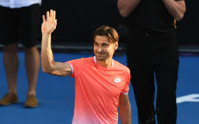 Spain's David Ferrer