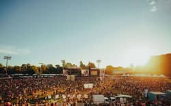 Crowd at Auckland Laneway Festival.